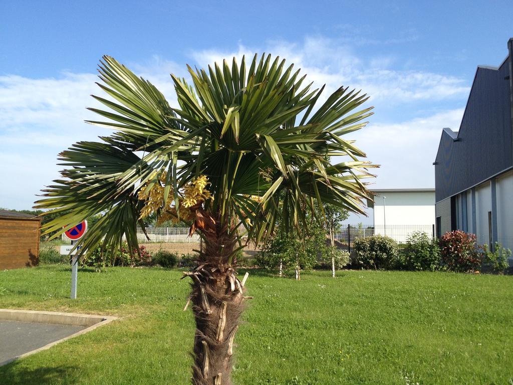 Kyriad Dol-De-Bretagne Hotel Exterior foto